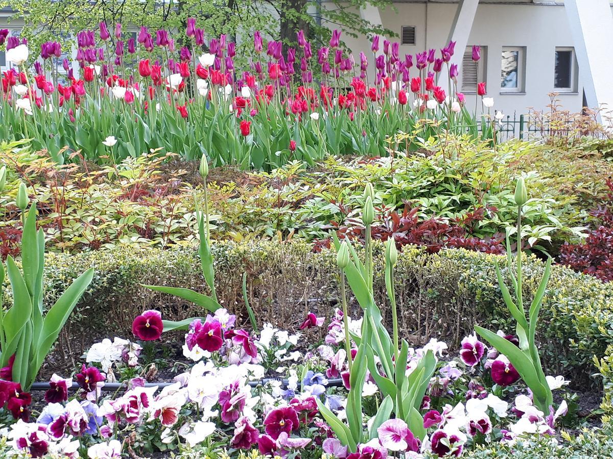 Kierunek Sopot Apartament Weranda Haffnera 32 מראה חיצוני תמונה